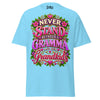 Never Stand Between a Gramma and her Grandkids - Unisex classic tee — Sky — front view