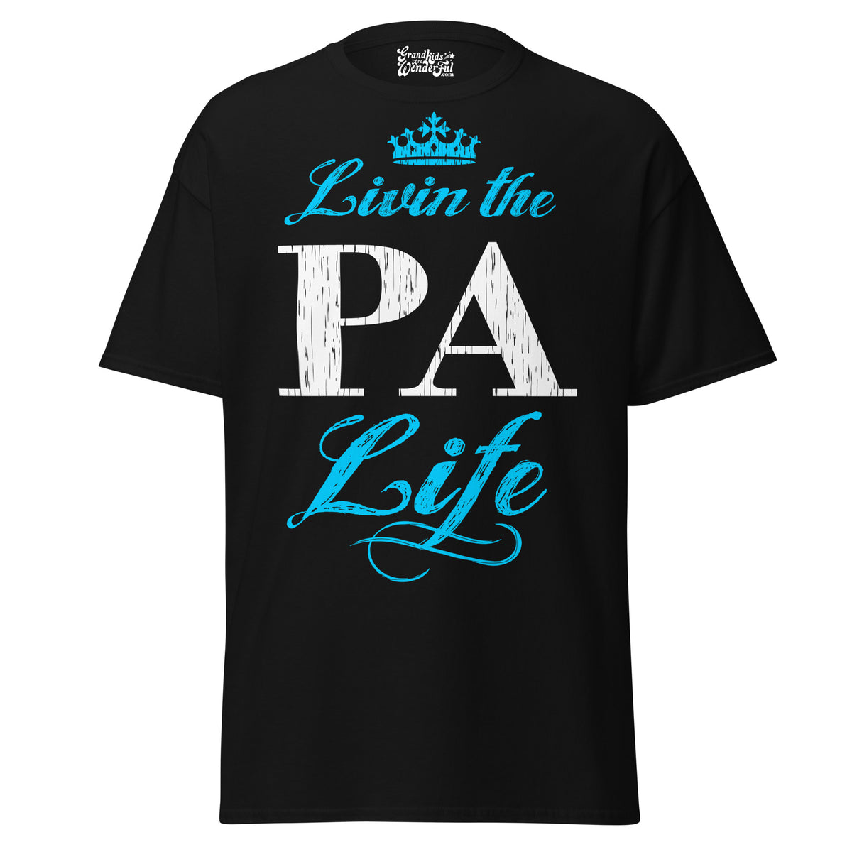 Livin' the PA Life - Unisex classic tee — Black — front view